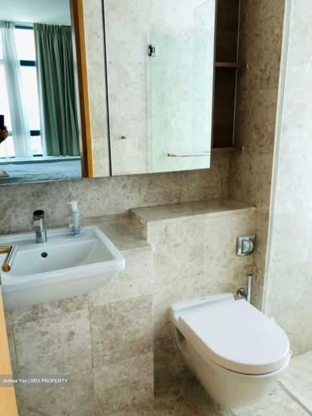 Soleil @ Sinaran (D11), Condominium #553910241